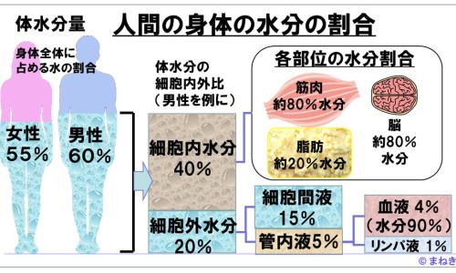 泌淋清胶囊的价格是多少-【泌淋清胶囊价格多少钱一盒】泌淋清胶囊 - 泌淋清胶囊的价格网